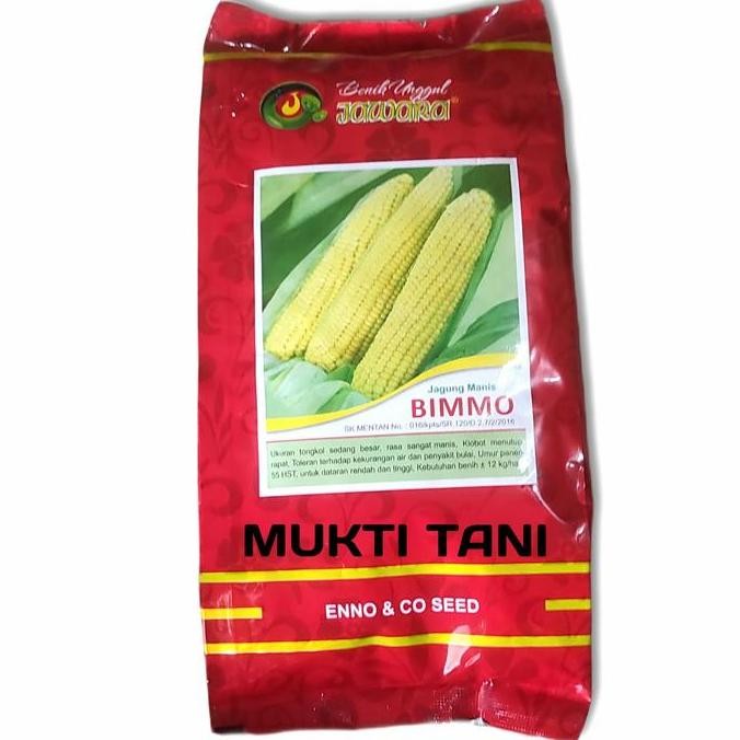 

Parling Laris! Benih Jagung Manis Bimmo 500 Gram