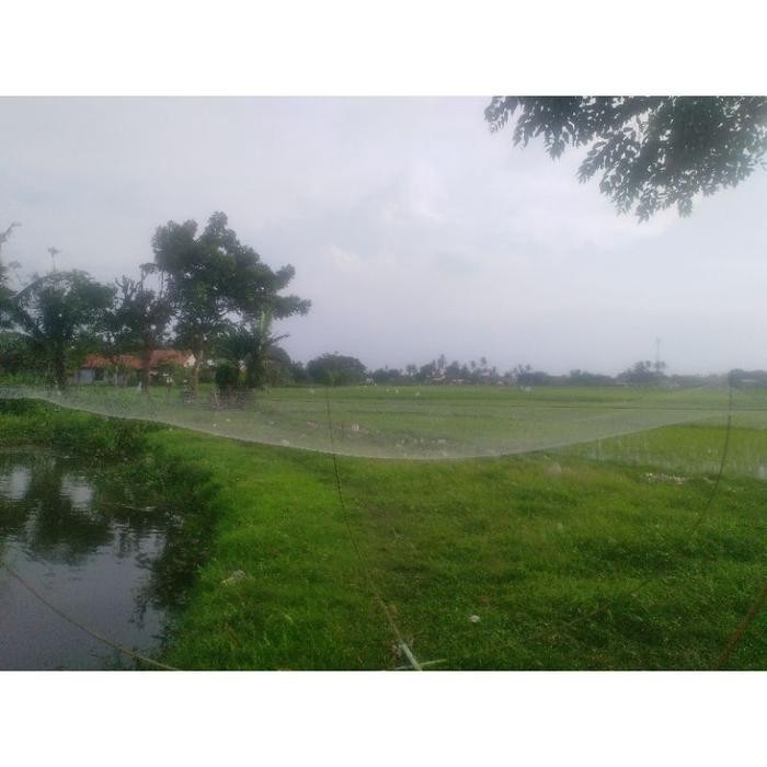 FT Jaring penangkap ikan / jaring anco ikan nilla & mujaer lubang 1 inchi