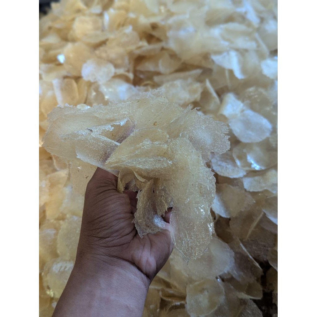 

KRIPIK kaca mentah bisa di goreng juga/ di sangrai