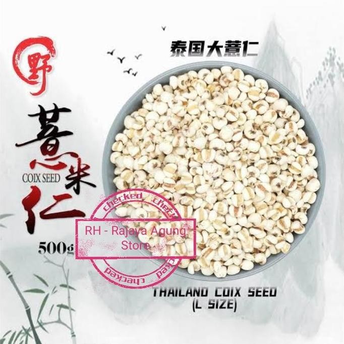 

500G Coix Lacryma Seeds Ie Yie Ren Beras Jali Jali Organik Myammar #Gratisongkir