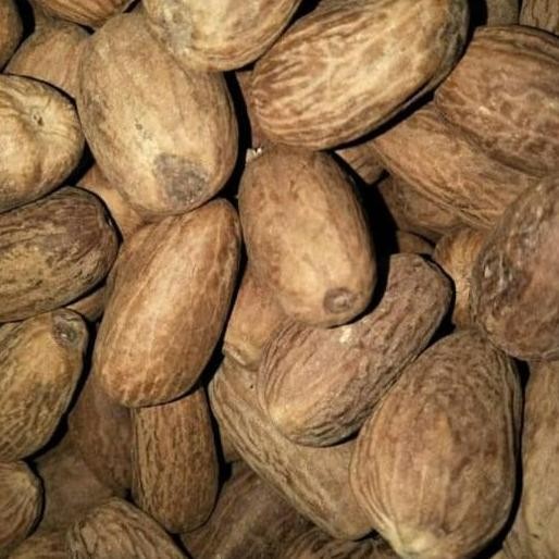 

^%^%^%^%] Biji pala 100 gr