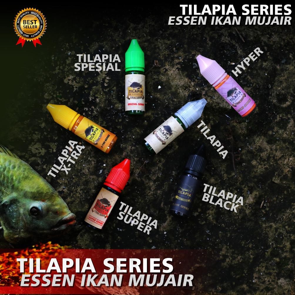 ORIGINAL TILAPIA ESSEN IKAN NILA IKAN MUJAER IKAN MUJAIR LUMUT LUKUT Nugi