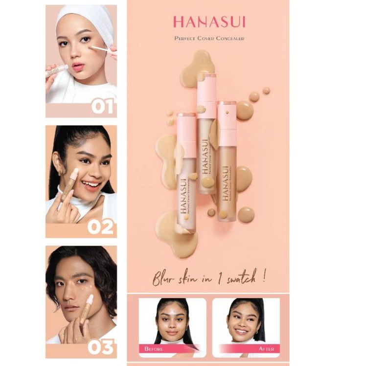Hanasui Perfect Cover Concealer / Hanasui Concealer / Concealer