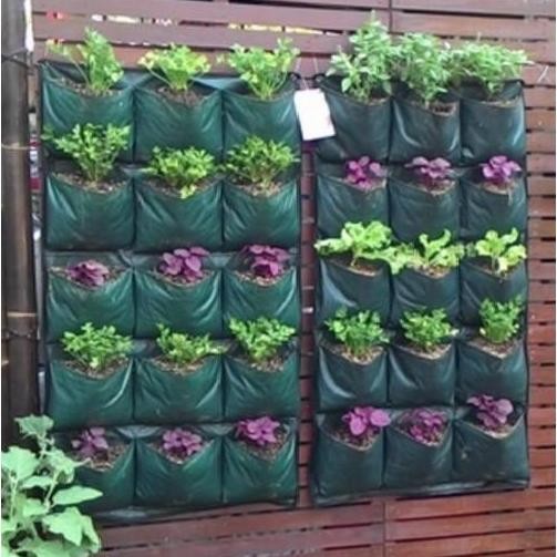 paling diminati] Wall Planter Bag 15 Kantong