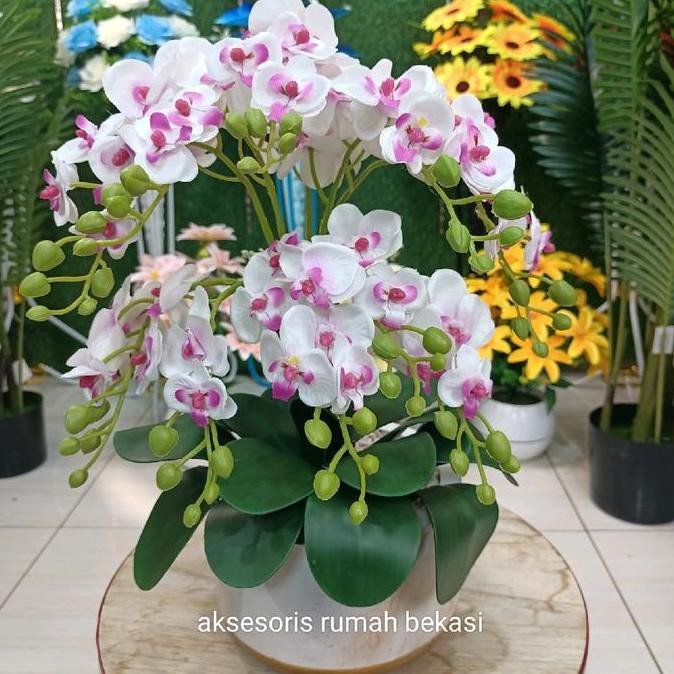 

Baru Buket Bunga Anggrek 10 Cabang | Hiasan Pot Kayu Marmer Cantik & Elegan