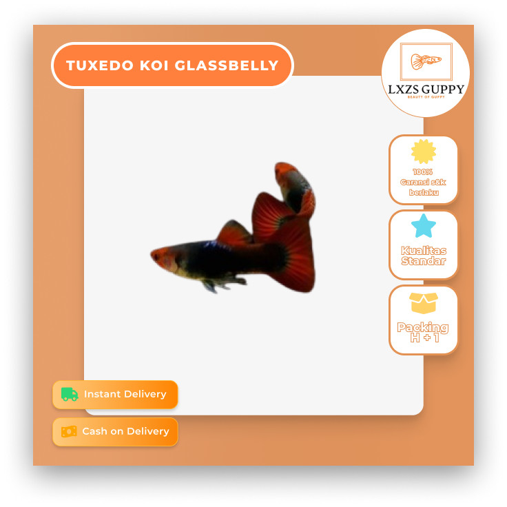 (INSTANT DELIVERY) Khusus pengiriman reguler harap checkout packingan tambahan - Aksesoris hiasan aq