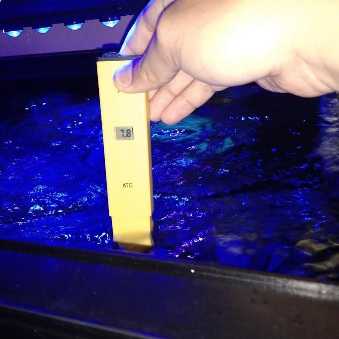 Promo Alat Ukur Ph / Tester Ph Air Untuk Aquarium Laut