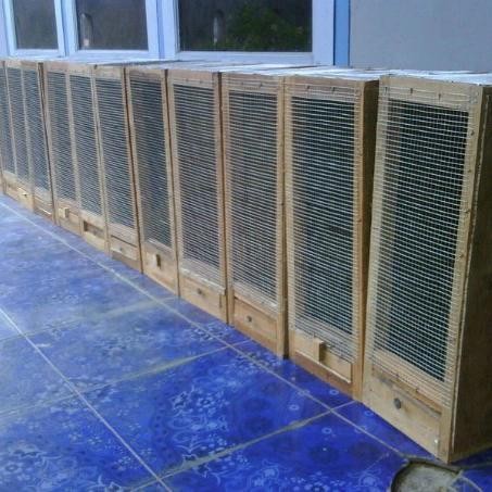 PZM kandang tokek hewan