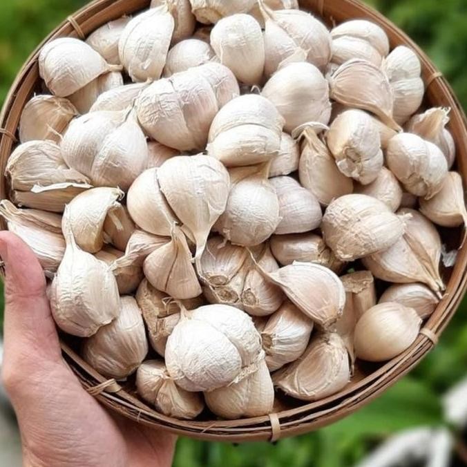 

Original Bawang Putih Kating 1kg Bawang Putih Super Fresh Premium