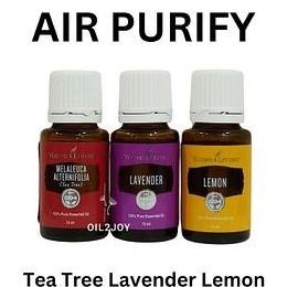 Air Purify Tea Tree Lavender Lemon Yl Yleo Essential Oil 5Ml 15Ml Blend