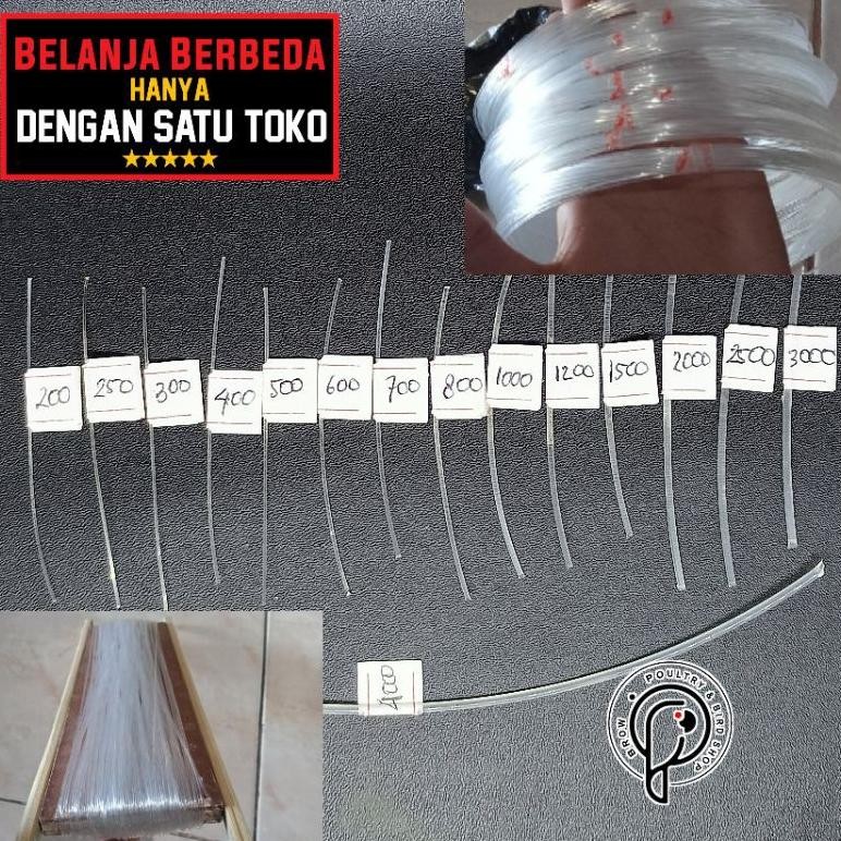 ed-7 SENAR LAYANGAN GAPANGAN 200 - 3000 CAP IKAN KAKAP /ARWANA Terlaris