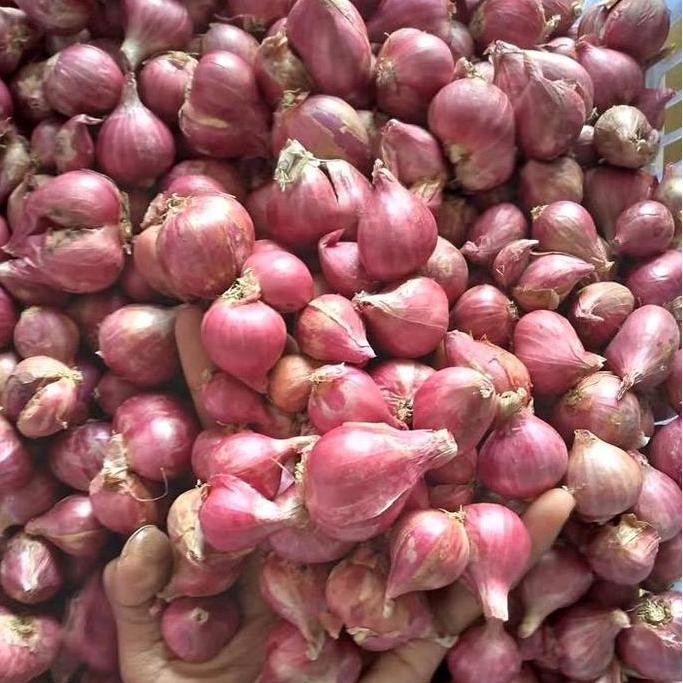 

bawang merah lokal SUPER buat bumbu masakan Spices Rempah Bubuk Pedas Bahan
