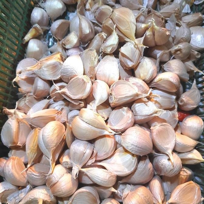 

Original Bawang Putih Kating Super 1Kg - Kualitas Premium Wangi Tajam