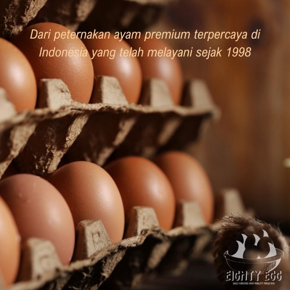 

Promo - Telur Ayam Negeri OMEGA 3 - 30 pcs GRADE A Fresh Bersih Kualitas Terbaik ,,