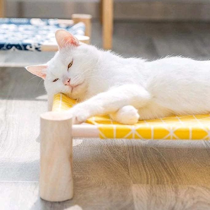 Kasur Kucing/Anjing Bahan Kayu Jati Belanda Kokoh Bongkar Pasang Bisa Di Cuci Kasur Anabul Besar Kas