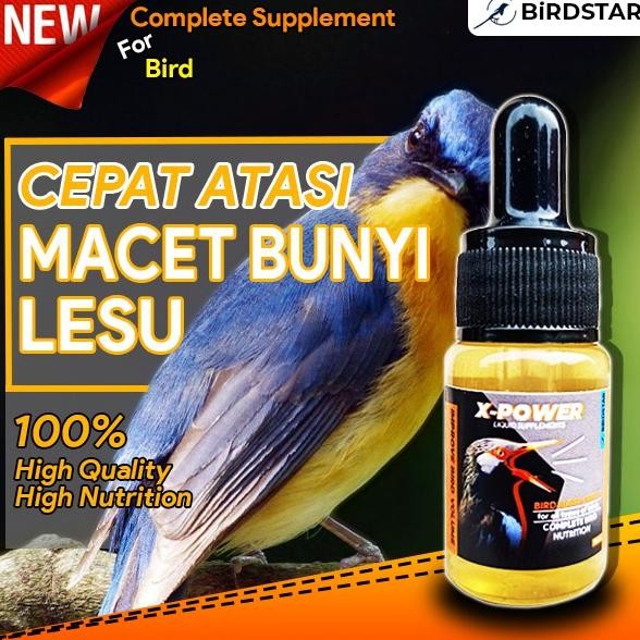 Quality Pioonervet - Promo Xpower Obat Vitamin Burung Lovebird Kenari Kacer Jalak Suren Murai Batu P
