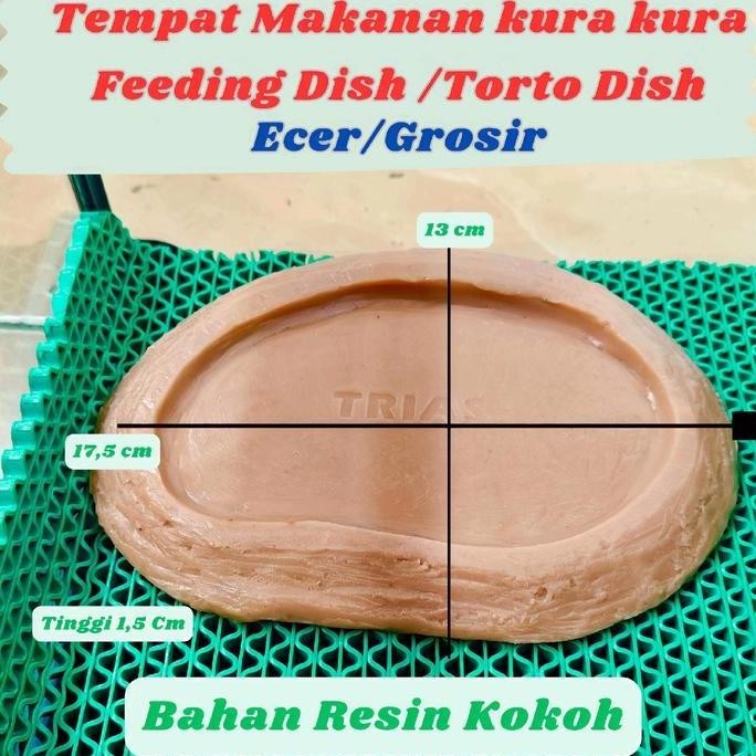 Tempat Makanan Kura Kura Darat/Feeding Dish Kura Kura Sulcata/Torto Dish/Tempat Makan Kura Kura/Feed
