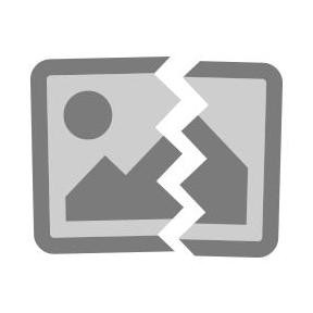 POHON Bibit Tanaman Buah Jeruk Sunkist Navel Merah F1 FULL BISA COD