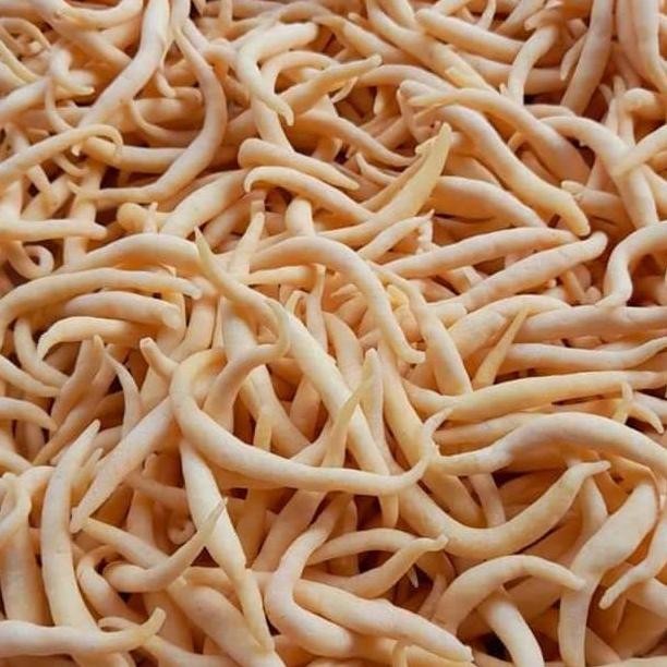 

JB TELUR GABUS KEJU 1BALL - GABUS KEJU - TELOR KEJU - CENDOL KEJU RENYAH None