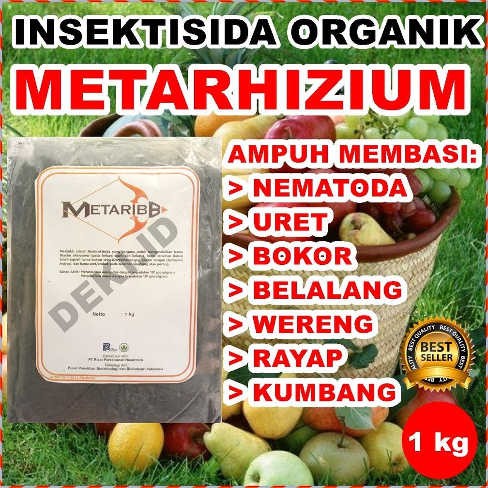 Insektisida Organik Metarhizium Metaribb 1kg Pestisida Jamur Metarizium Anisopliae Pembasmi Hama Ure