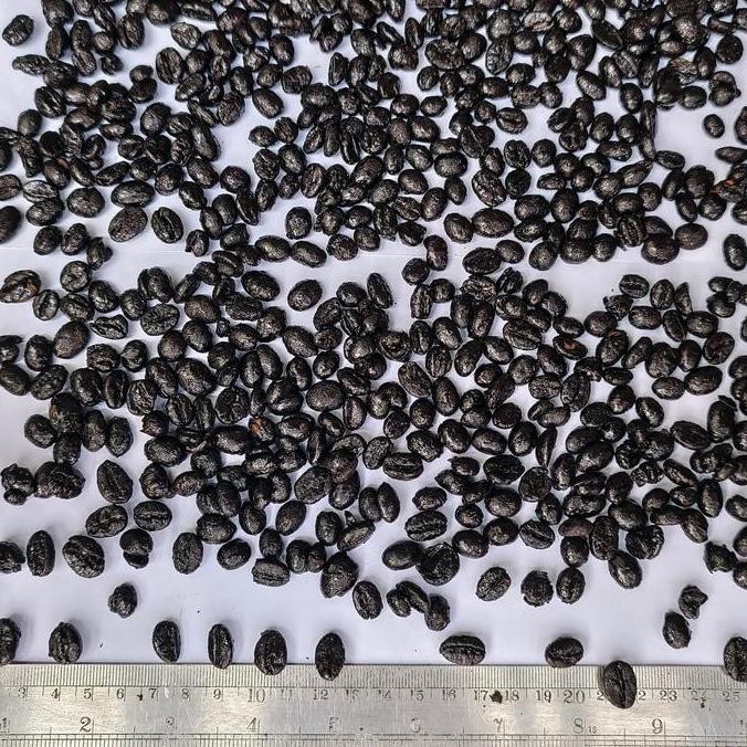 

Biji Kopi Sidikalang - Robusta Caramel Roast Bean 1 Kg Kualitas Terbaik Harga Termurah