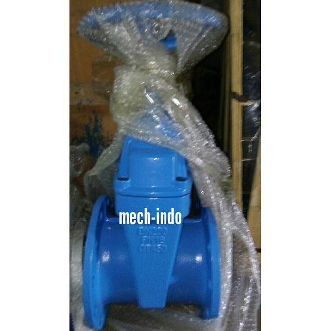 Gate Valve Resilient 6"