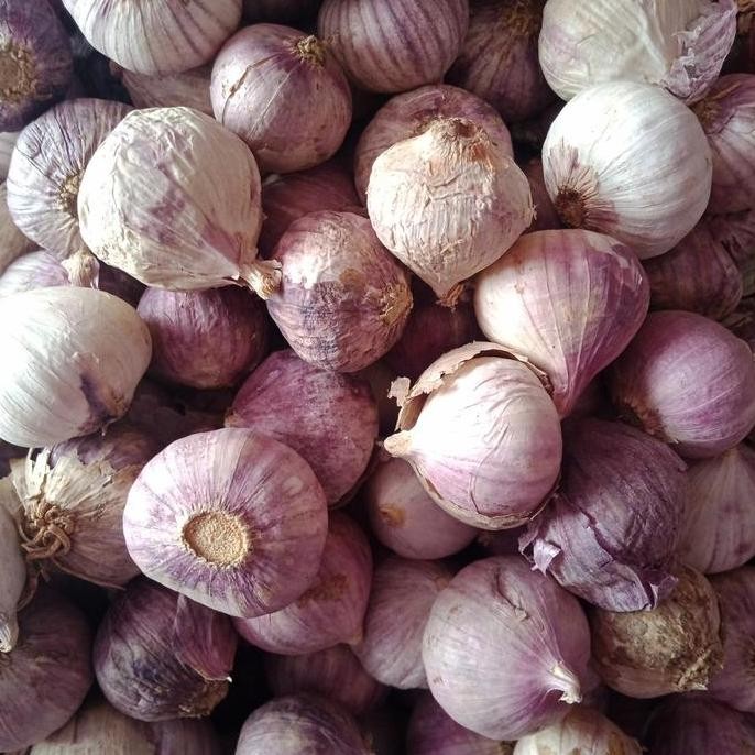 

Diskon! Bawang Putih Tunggal 1kg Bawang Lanang Utuh Segar Premium