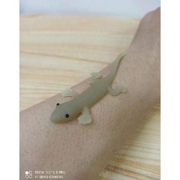 Mainan cicak karet mirip asli