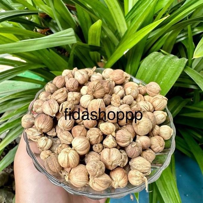 

Diskon! Kapulaga Premium Grade A 1 Kg - Green Cardamom Asli