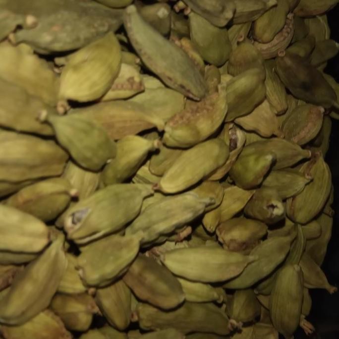 

Diskon! Kapulaga India Hijau 50Gr Ilaichi Premium