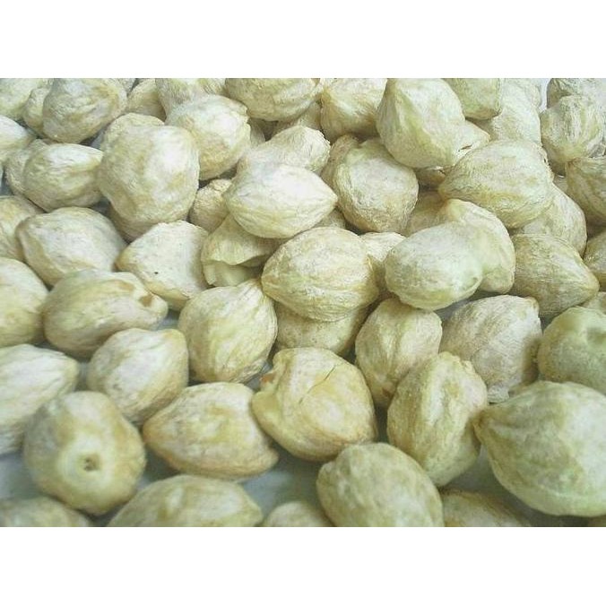 

Diskon! Kemiri Bulat 1Kg - Kemiri Utuh Masak Kualitas Super