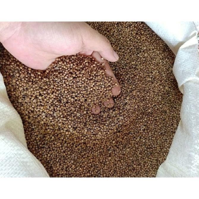 

Diskon! Ketumbar Hitam Organik 1 Kg - Bumbu Dapur Sehat Organik