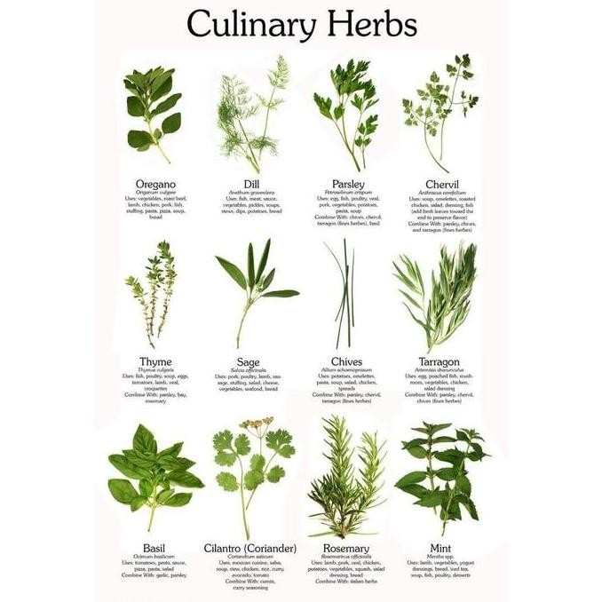 

Diskon! Parsley Dried Peterseli Kering 100Gram Herbal