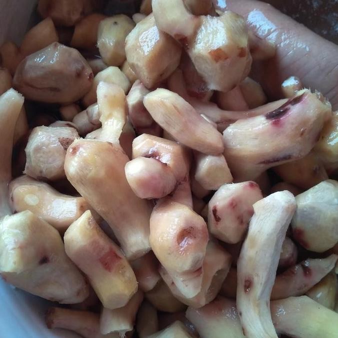 

Diskon! Jahe Merah Kupas 1Kg - Herbal Segar Murni