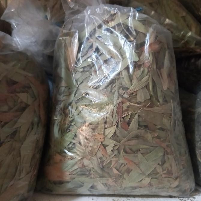 

Diskon! Daun Kayu Putih Kering Murni 100Gr-1Kg | Daun Herbal Alami