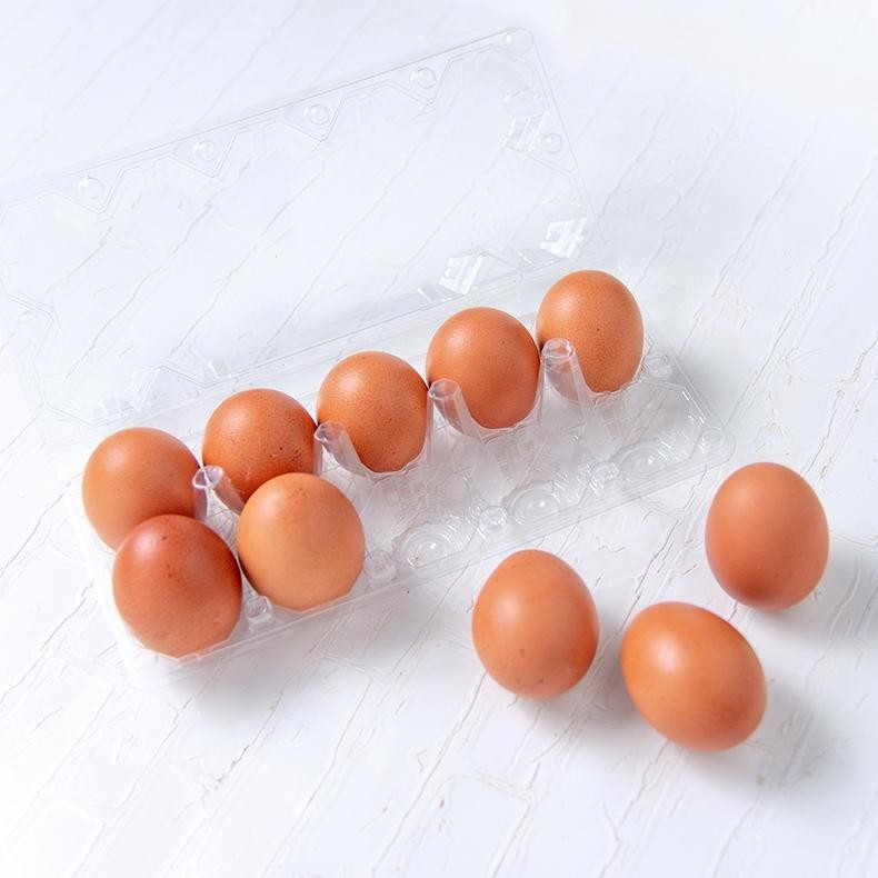 

FCW - Telur Ayam Negeri 10 Butir + Tempat Mika aSt