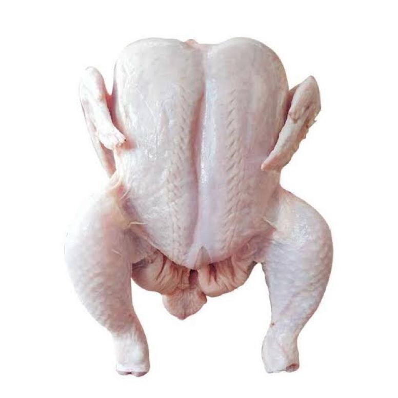 

Ayam broiler frozen ukuran 700 gram/ayam negeri/ayam murah/daging ayam/ayam broiler/ayam potong aSt