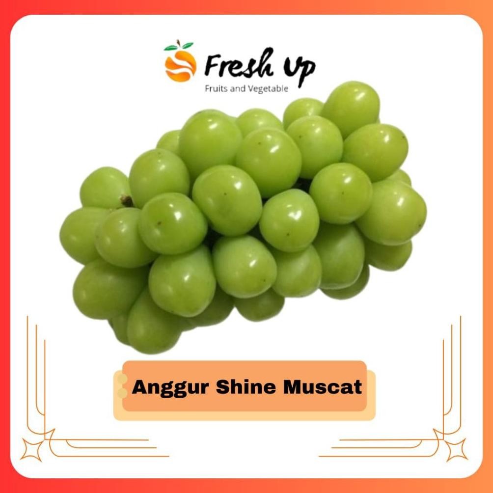 

Anggur Hijau Shine Muscat Tanpa Biji Manis aSt