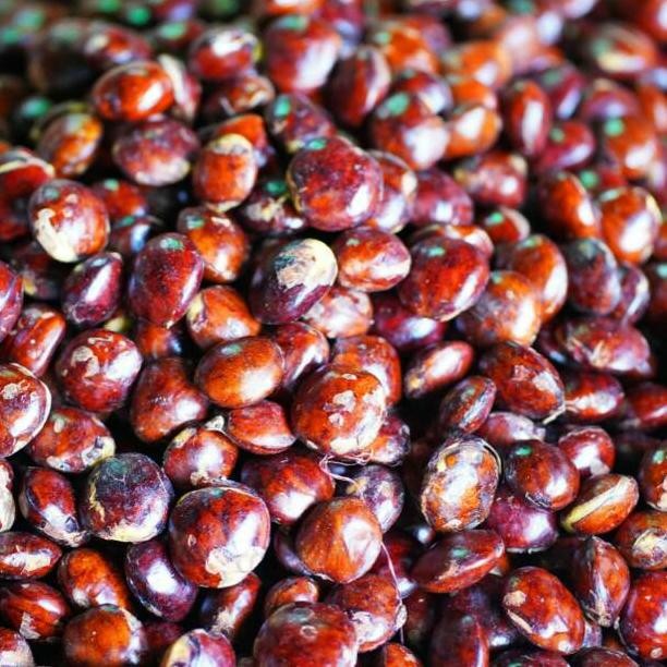 

Jengkol Super 500 gr aSt