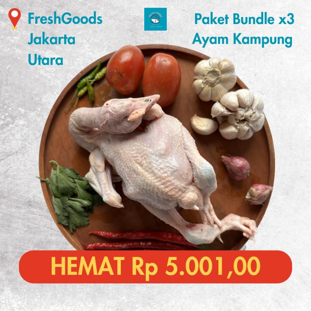 

Paket Bundle 3 Ekor Ayam Kampung Asli Segar Premium Dijamin Berkualitas - Freshgoods.idn aSt