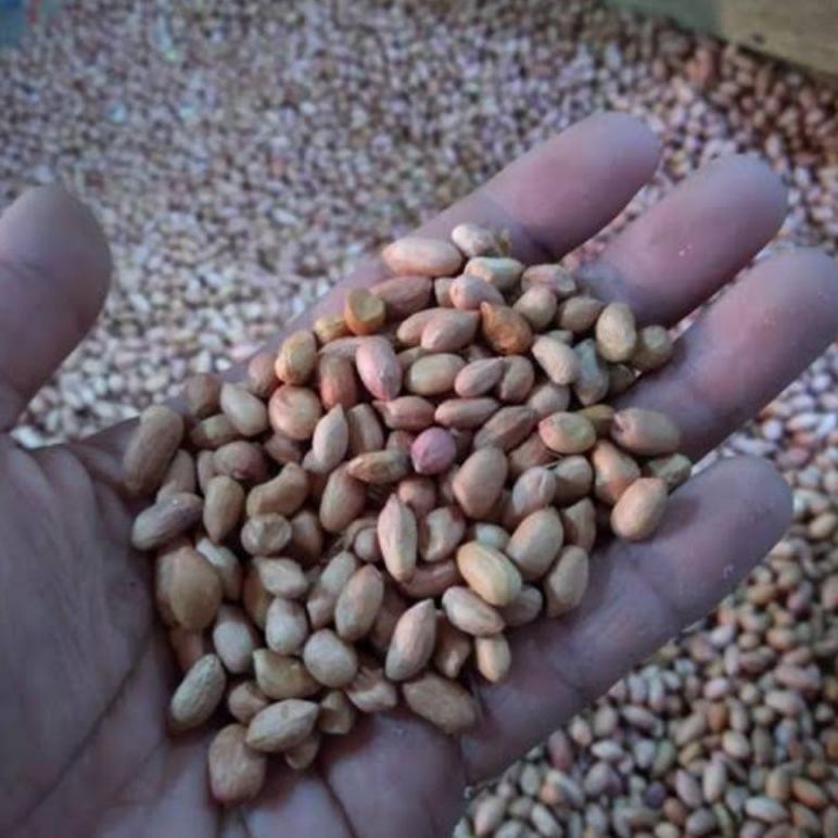 

Kacang tanah mentah 1 kg(OB.ukuran kecil) aSt