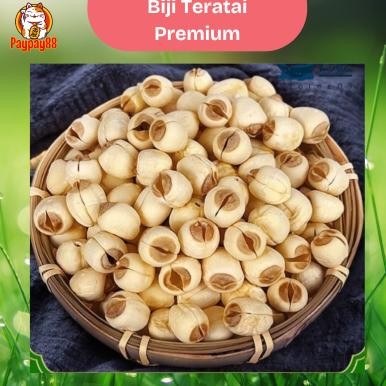 

BIJI TERATAI KERING PREMIUM / LIAN ZI IMPORT / WHITE LOTUS SEED / LIAN CI 100 - 250 GRAM aSt
