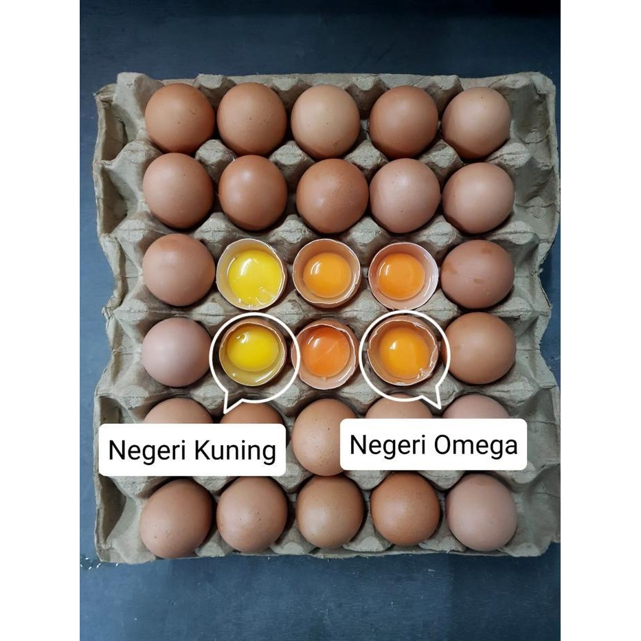 

ATS Telur Omega 3 Per 30 Butir