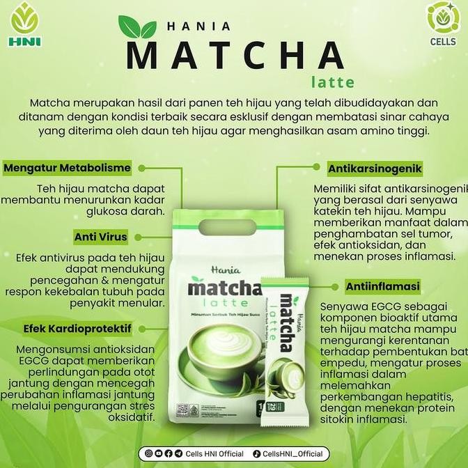 

Hania Matcha Latte Hni Hpai (Mine)