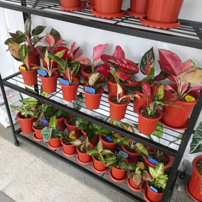 Rak Tanaman Besi Susun