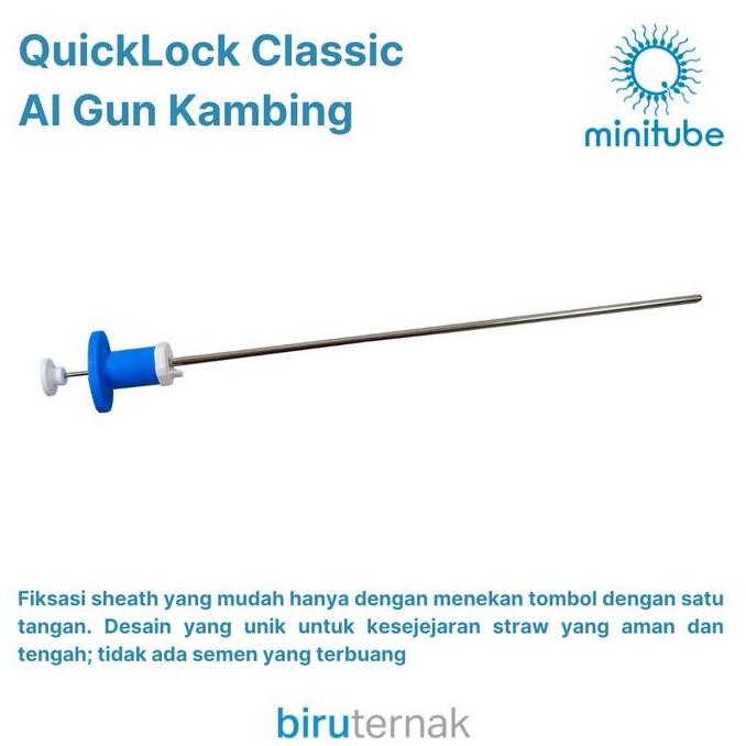 TERBARU AI GUN KAMBING IB ALAT INSEMINASI BUATAN KAMBING MINITUBE