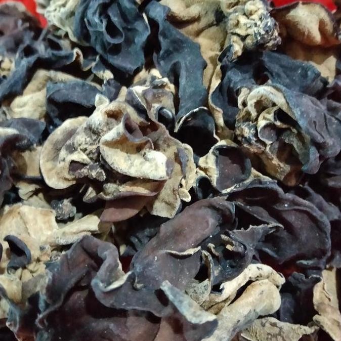 

Jamur Kuping/Jamur Mentah Kering 1Kg Kualitas Terbaik Harga Termurah