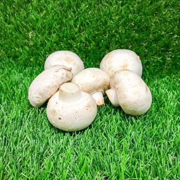 

Citra Fresh - Jamur Champignon 1 Box Isi 5 Kg - Selalu Ready Dan Fresh Kualitas Terbaik Harga Termurah