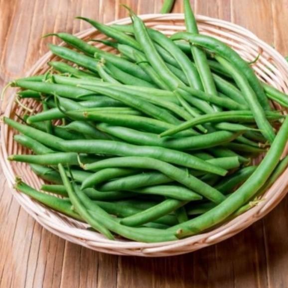 

Benih Bibit Sayur Kacang Buncis kualitas super isi 50 biji