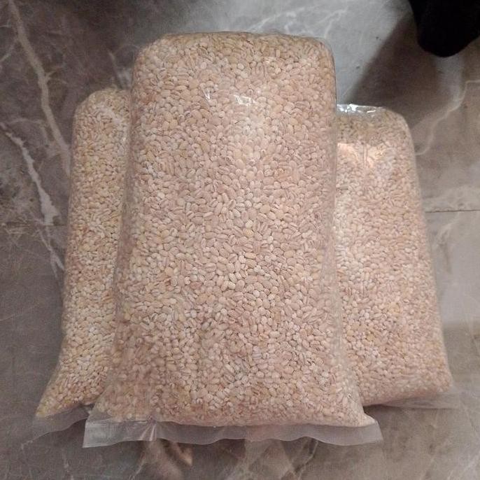 

GL jali jali 1 kg/biji jali jali 1 kg/barley 1 kg